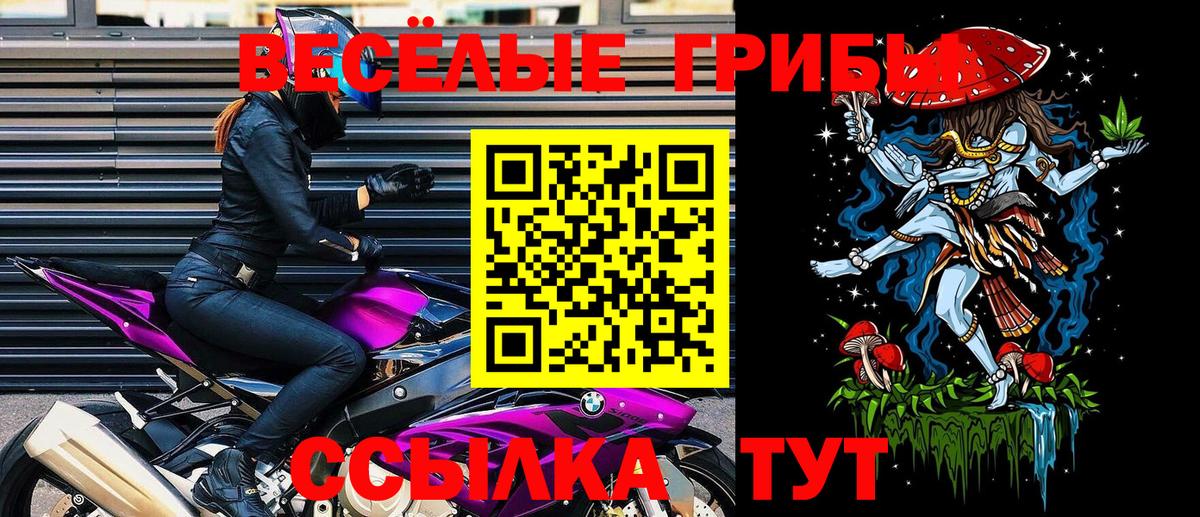 Псилоцибиновые грибы Magic Shrooms Городец